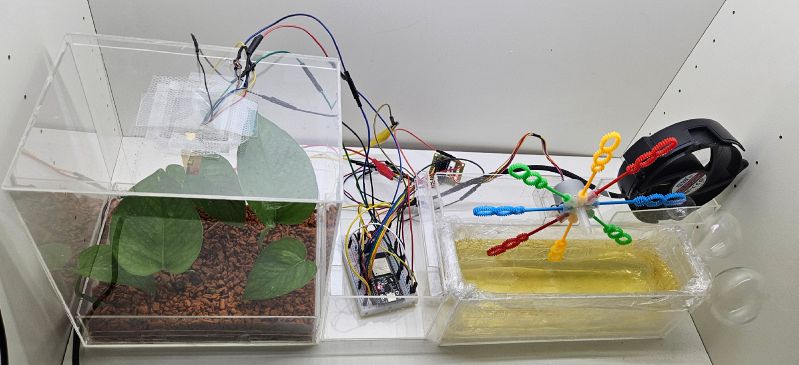 File:Respiring Reflections image 3.jpg