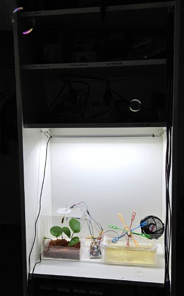 File:Respiring Reflections image 4.jpg