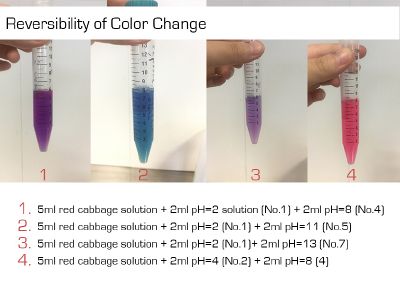 Reversibility of Color Change.jpg