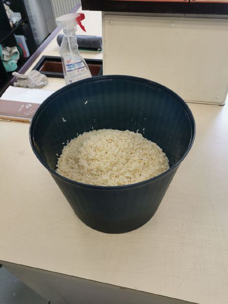 File:Rice solo.jpg