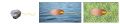 Thumbnail for version as of 21:46, 14 July 2021