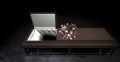 Thumbnail for version as of 17:18, 31 October 2020