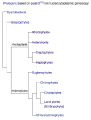 Phylogenetic tree based on plastid [2]