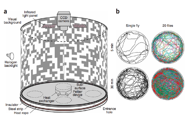 File:Screen Shot 2018-05-02 at 4.41.13 PM.png