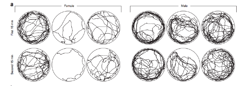 File:Screen Shot 2018-05-02 at 4.45.48 PM.png