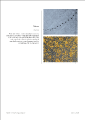 Thumbnail for version as of 11:26, 6 December 2020