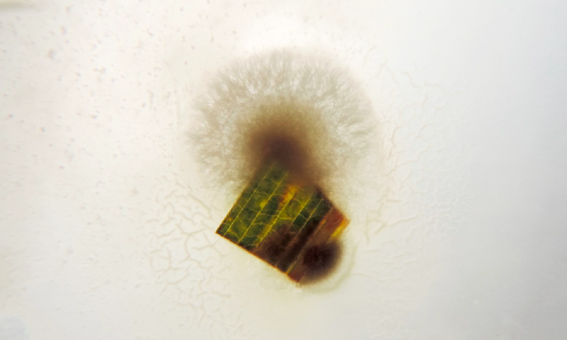 File:Screen Shot 2022-11-28 at 1.33.51 PM.png