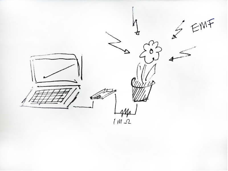 File:Screenshot 2022-05-22 at 21.53.57.png