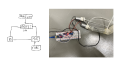 Thumbnail for version as of 18:29, 27 March 2023