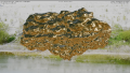 Thumbnail for version as of 13:49, 18 July 2025