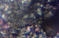 Thumbnail for version as of 21:49, 31 March 2013