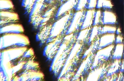 Screenshot DIY Session4 02.jpg