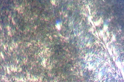 Screenshot DIY Session4 06.jpg