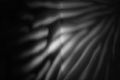 Thumbnail for version as of 22:30, 9 February 2013
