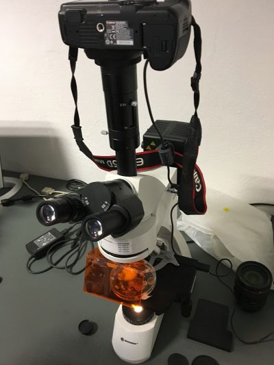 Sichtung mit DSLR Kamera.jpg