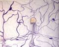Thumbnail for version as of 20:04, 27 November 2021