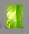Thumbnail for version as of 16:40, 26 November 2012