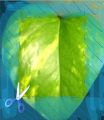 Thumbnail for version as of 16:29, 26 November 2012