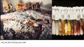 Thumbnail for version as of 17:21, 29 June 2022