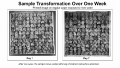 Thumbnail for version as of 10:54, 15 July 2026