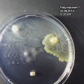 Thumbnail for version as of 21:29, 25 May 2015