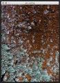 Thumbnail for version as of 02:40, 28 January 2016