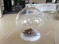 Sphere01, Food: Cardboard, Single Test