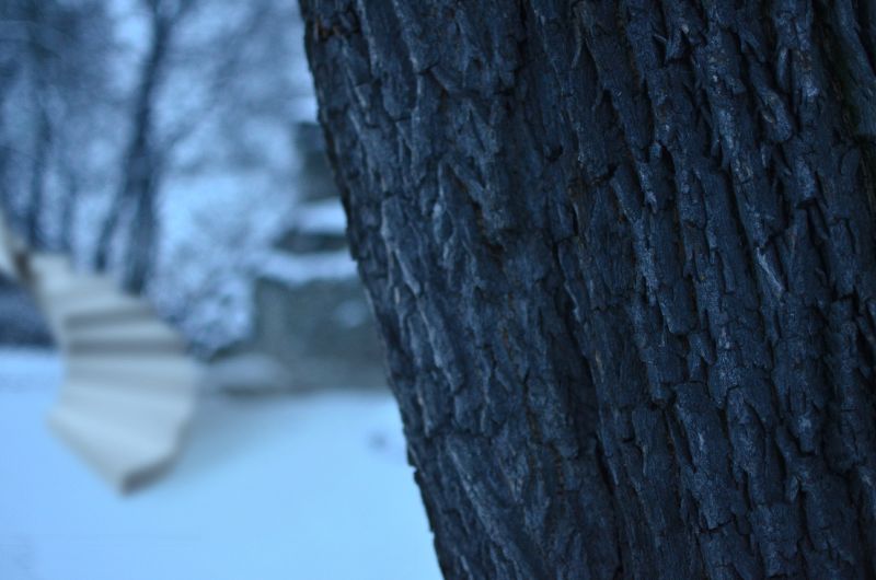 File:Spiral stairs.jpg