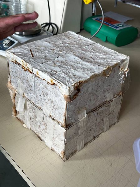 File:Square UNopened 1.jpg