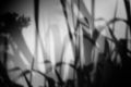 Thumbnail for version as of 07:49, 25 May 2011