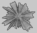 Thumbnail for version as of 12:58, 6 October 2013