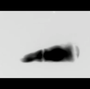 Still-av 02.png