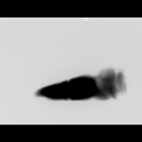 Still-av 03.png
