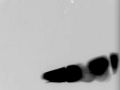Thumbnail for version as of 00:06, 5 April 2010