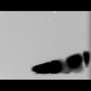 Still-av 04.png