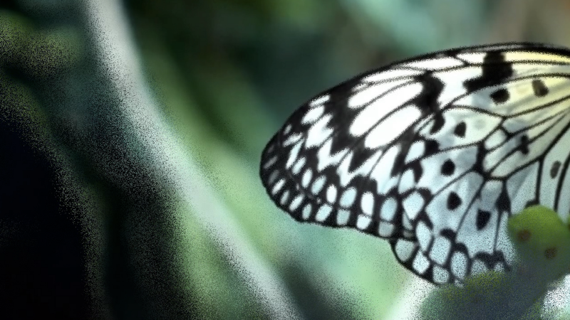 File:Still3.png