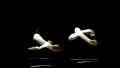 Thumbnail for version as of 15:03, 31 March 2011
