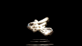Thumbnail for version as of 15:03, 31 March 2011