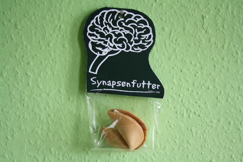 File:Synapsenfutter 1.JPG