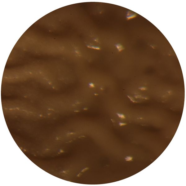 File:THERMUS 2-b.jpg