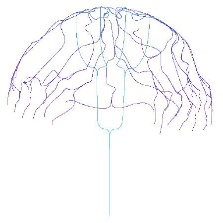 spawnAnglesDegree = +/-0