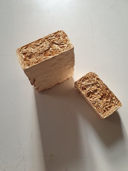File:The internal structure of the cut element.jpg