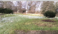 Thumbnail for version as of 02:11, 28 January 2016