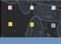 Thumbnail for version as of 13:48, 3 December 2020