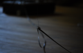 Thumbnail for version as of 11:19, 10 August 2014