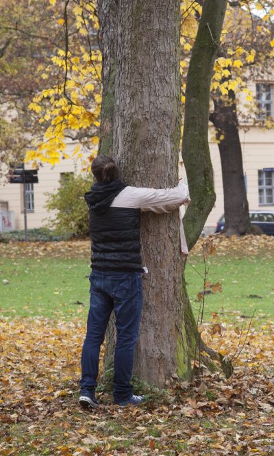 Fred hugging/measuring a tree