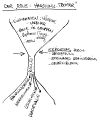 Thumbnail for version as of 14:13, 2 June 2010