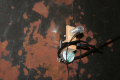 Thumbnail for version as of 06:08, 29 October 2015