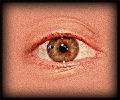 Thumbnail for version as of 01:28, 19 March 2011