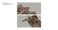 Thumbnail for version as of 13:18, 27 March 2021